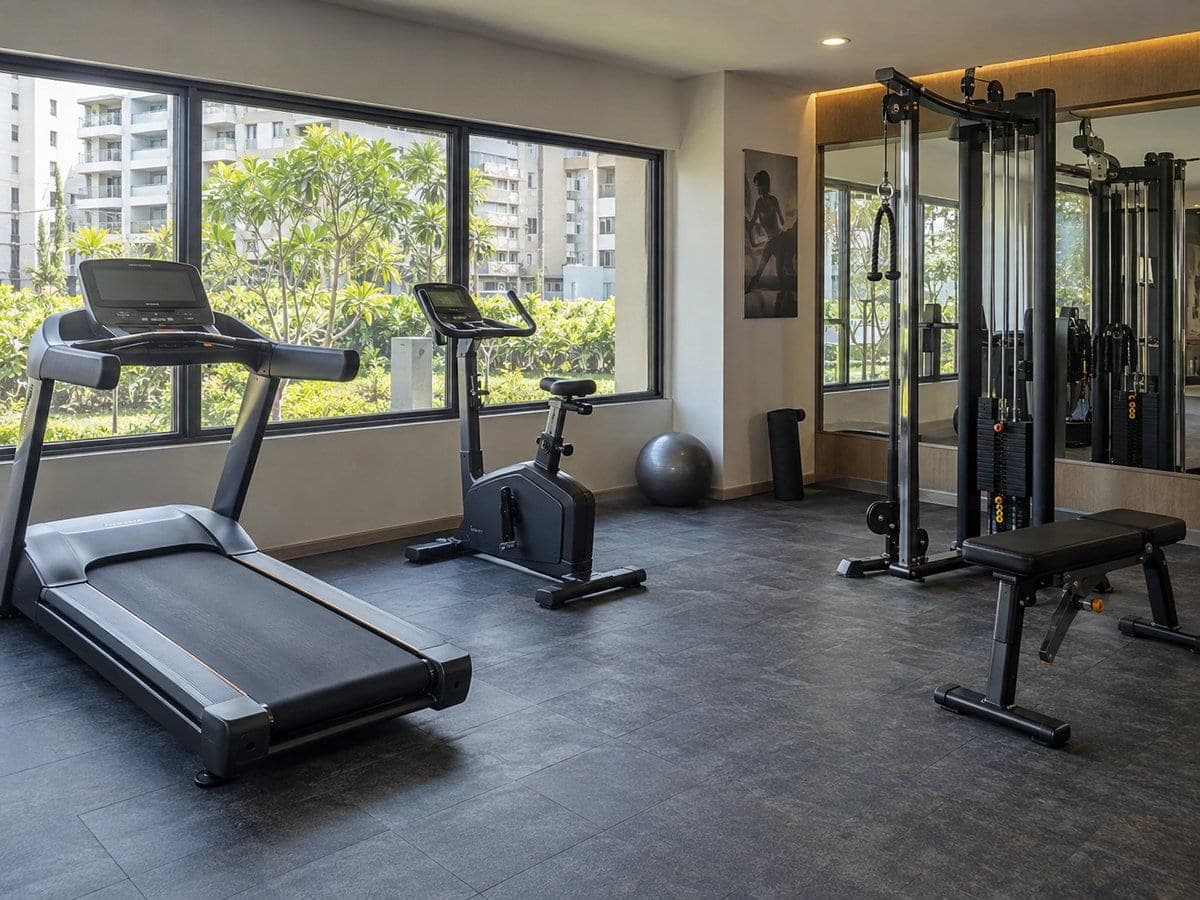 Gym fitness equipment